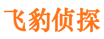 江川婚外情调查取证